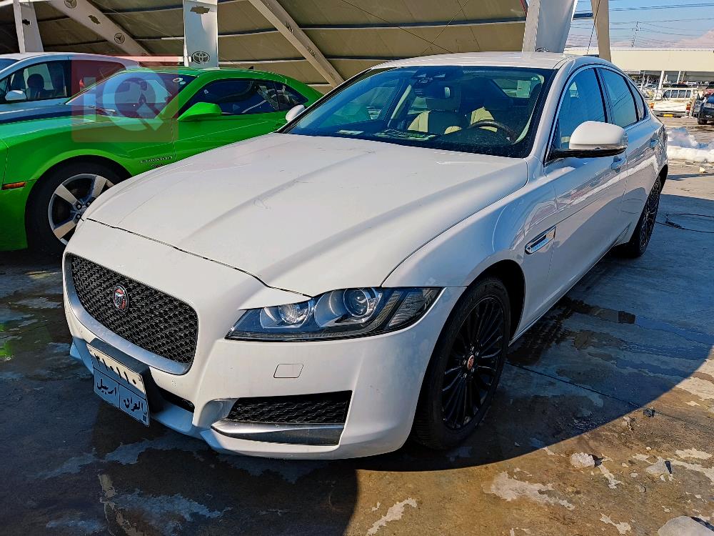 جاكوار XF